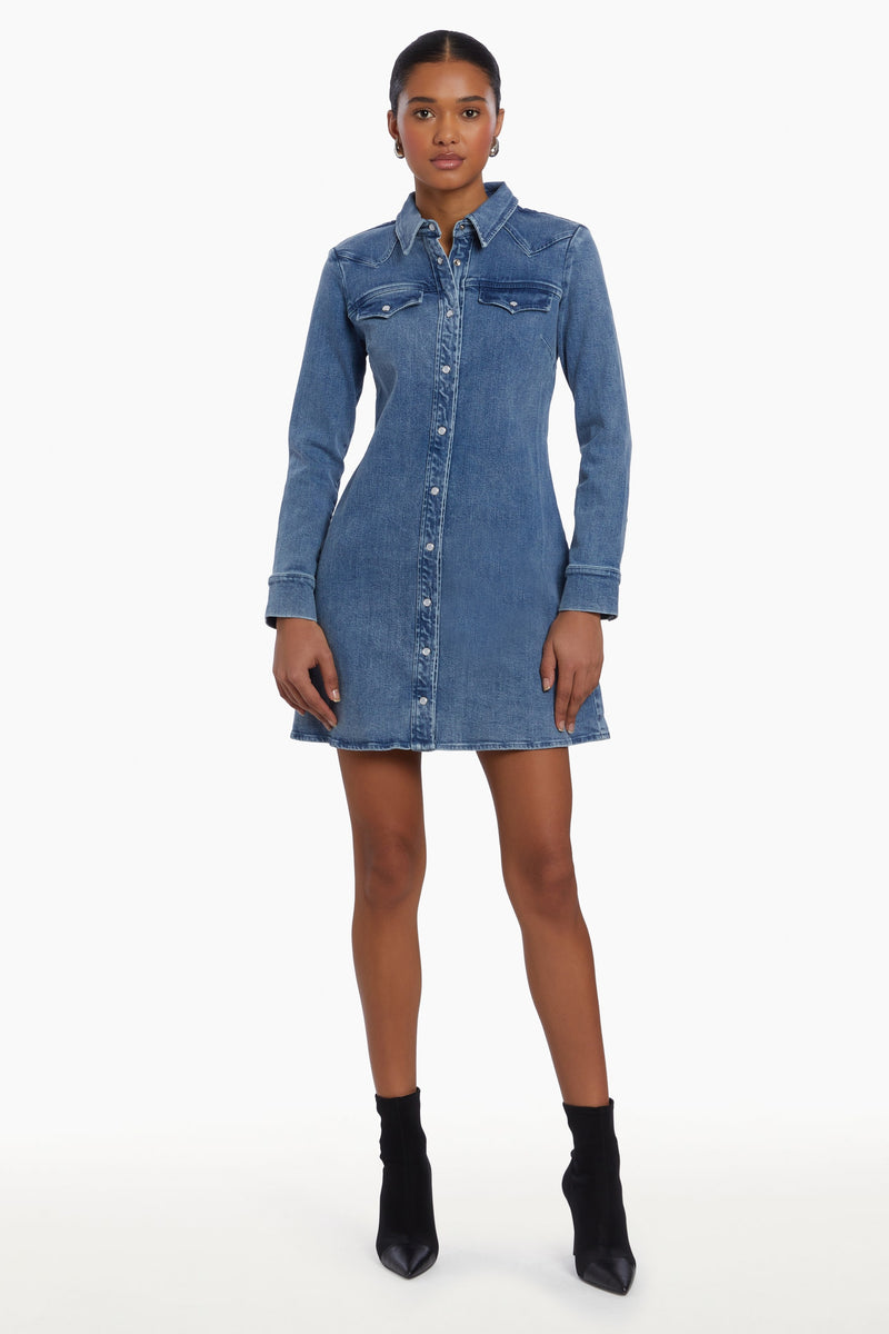 FORRESTER DENIM DRESS