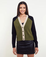 BRIANNA COLORBLOCK CARDI 090825