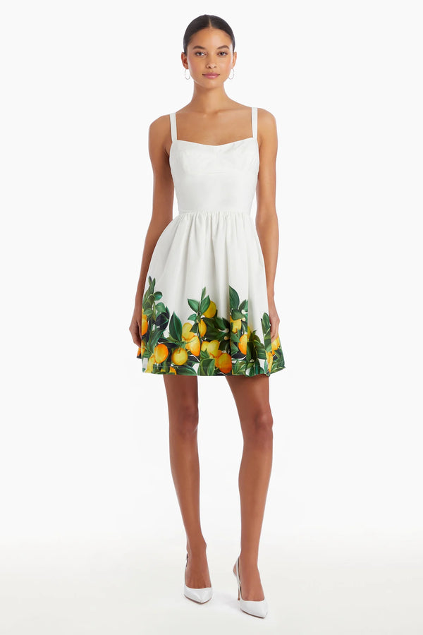 NAPOLI LEMON DRESS 053024