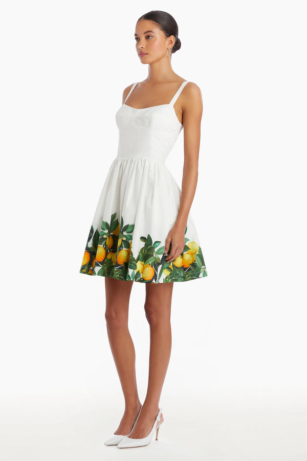 NAPOLI LEMON DRESS 053024