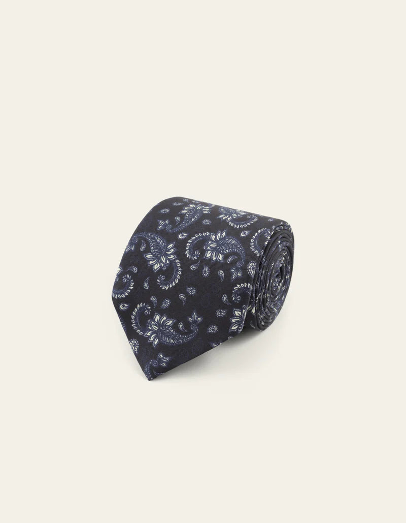 PAISLEY TIE 092025