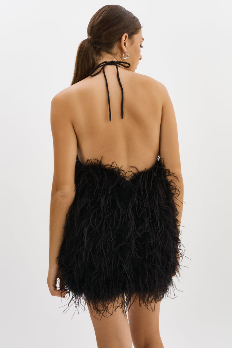 FEATHER DRESS